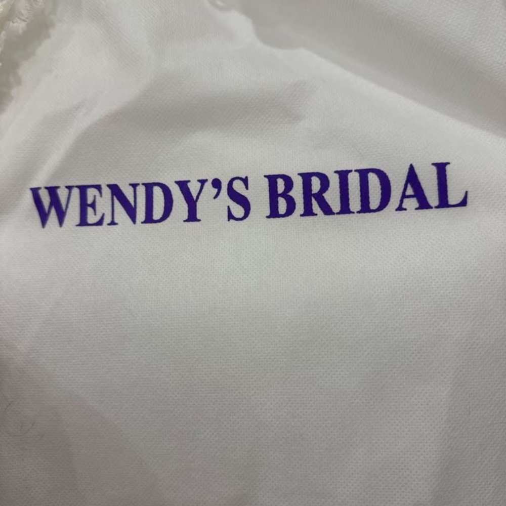 Maggie Sottero Dress from Wendy bridal - Picture 4 of 8